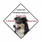 Preview: Aufkleber Border Collie0004